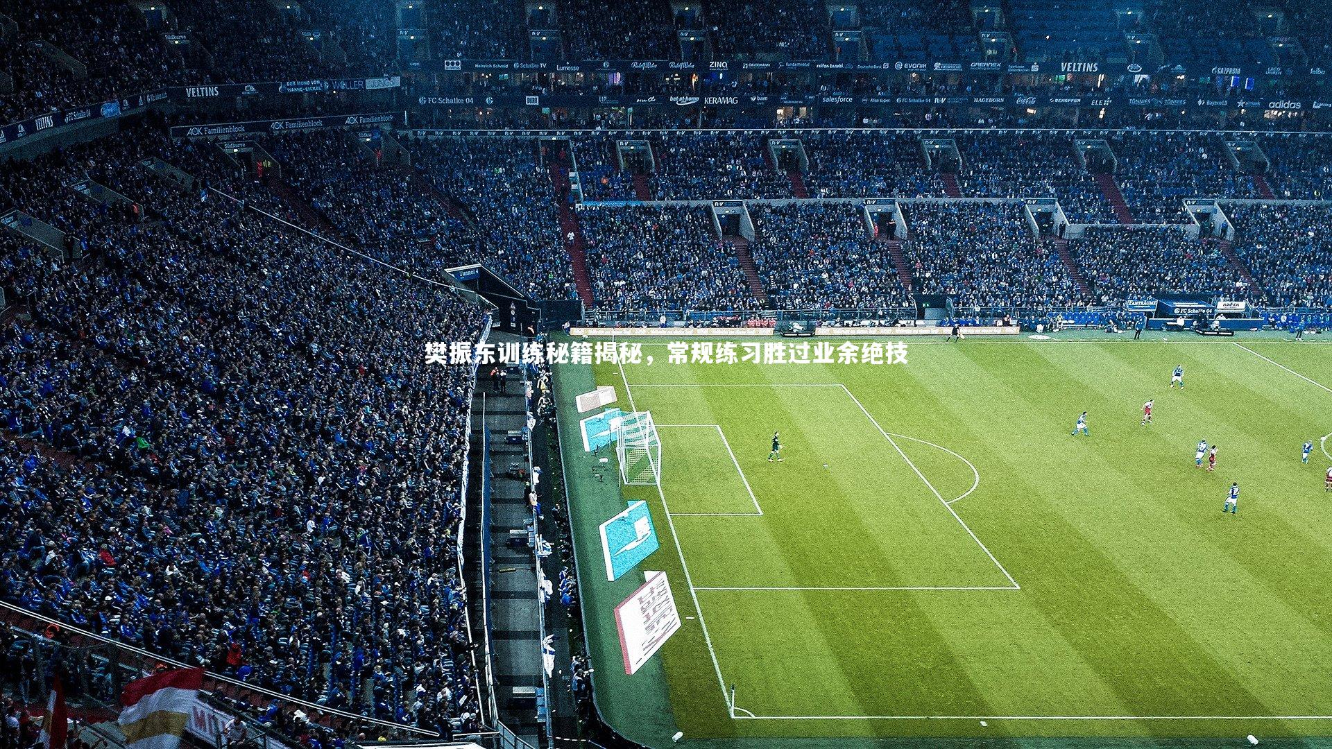 九游体育_樊振东训练秘籍揭秘，常规练习胜过业余绝技